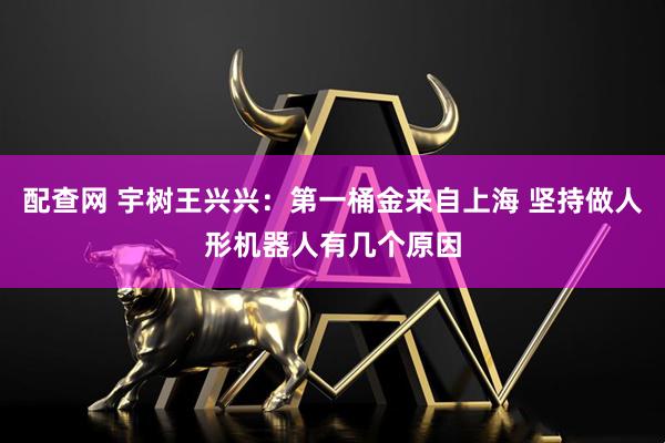 配查网 宇树王兴兴：第一桶金来自上海 坚持做人形机器人有几个原因