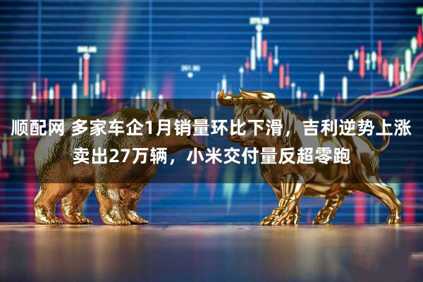 顺配网 多家车企1月销量环比下滑，吉利逆势上涨卖出27万辆，小米交付量反超零跑