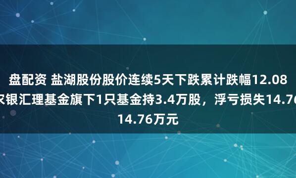 盘配资 盐湖股份股价连续5天下跌累计跌幅12.08%，农银汇理基金旗下1只基金持3.4万股，浮亏损失14.76万元