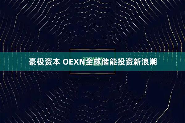 豪极资本 OEXN全球储能投资新浪潮